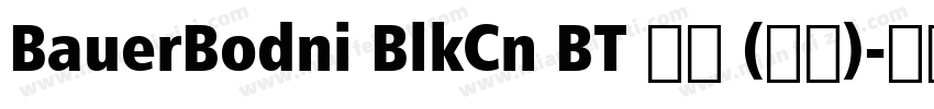 BauerBodni BlkCn BT 普通 (西方)字体转换